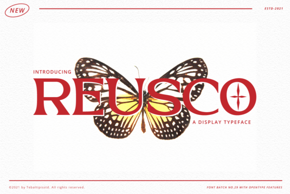 Reusco: Elevating Modern Typography for Premium Branding