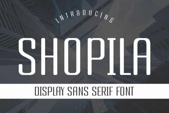 The Impact of Shopila on Modern Design Projects