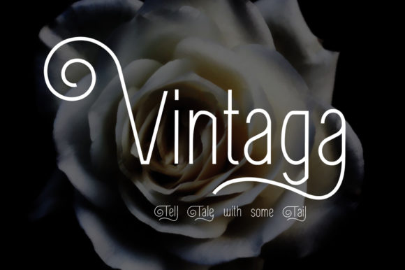 Vintaga: Elevating Design with Retro Elegance and PUA Encoding